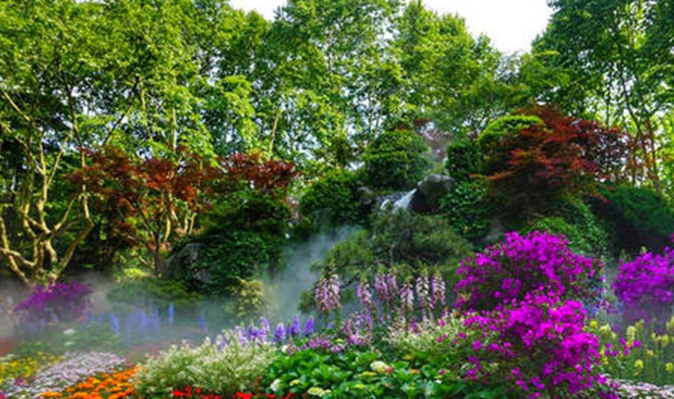 原创 杭州适合踏青的三大好去处,有山有水有花,快去行动吧5