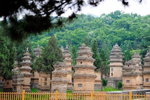 2022嵩山少林寺门票怎么预约2