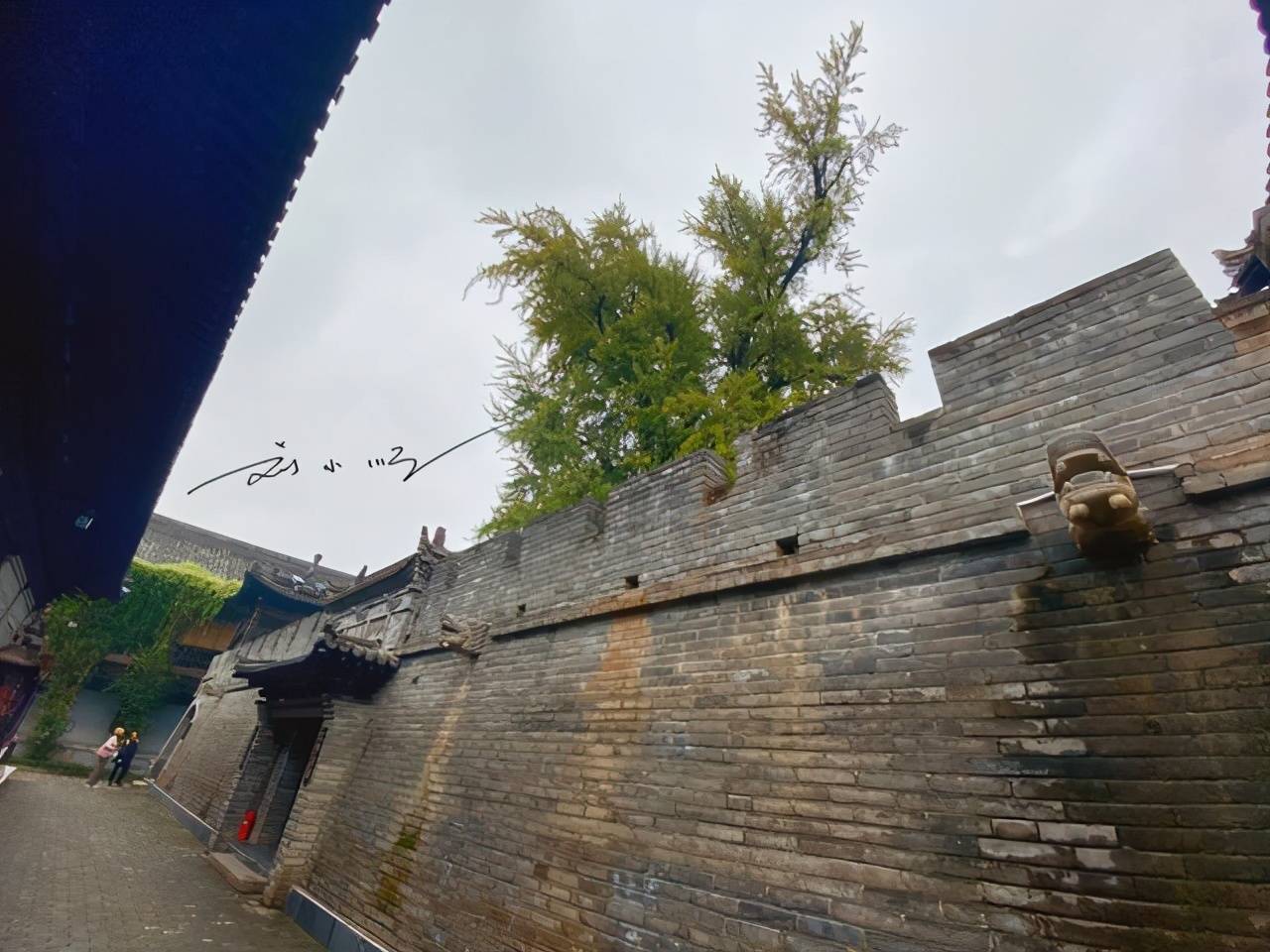 原创 西安有棵网红银杏树，朋友圈常常刷屏，很多人却不知道在什么地方2