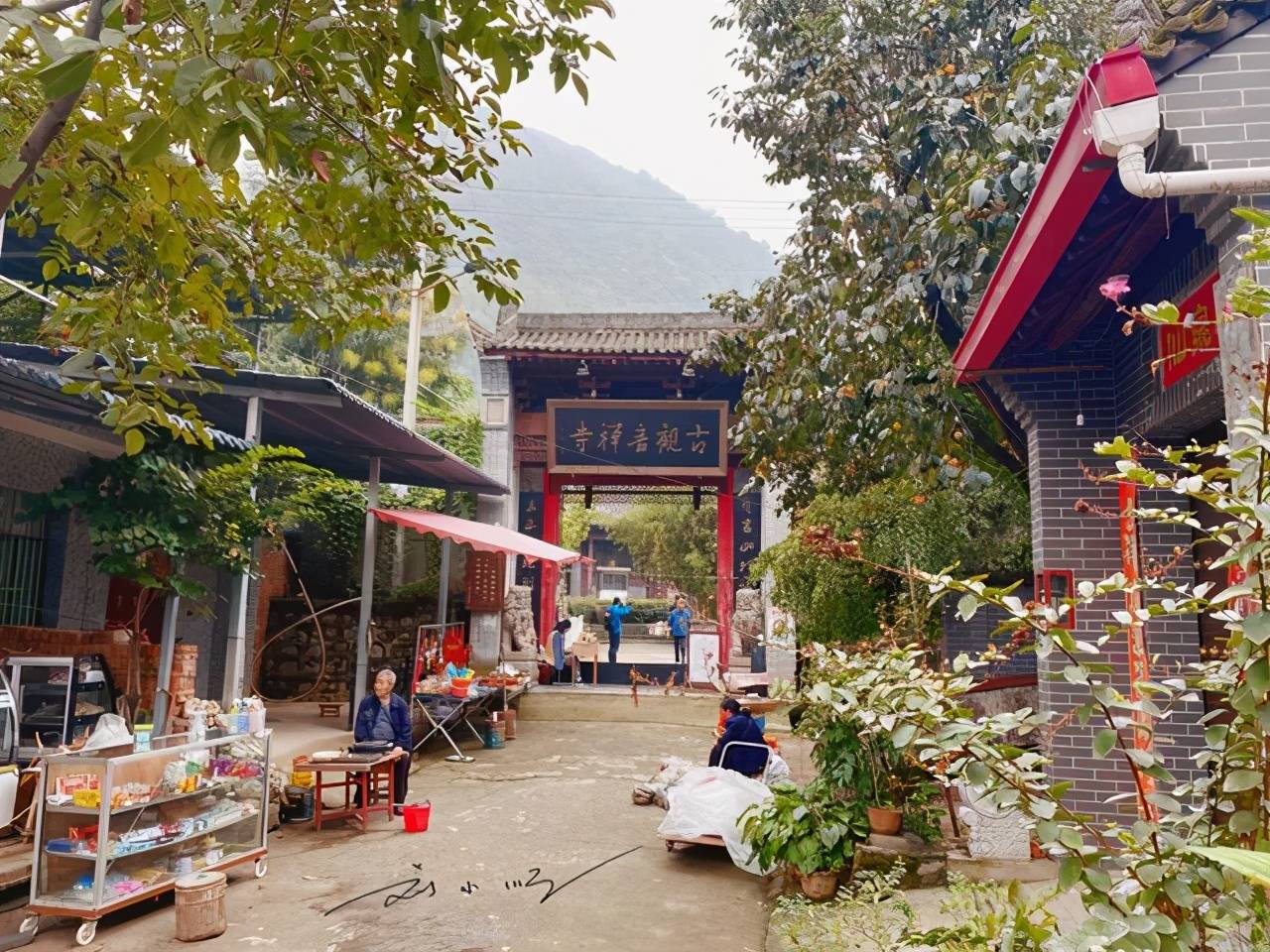 原创 西安有棵网红银杏树，朋友圈常常刷屏，很多人却不知道在什么地方3