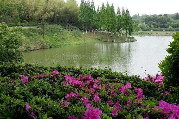 无锡周边免费游玩景点推荐3