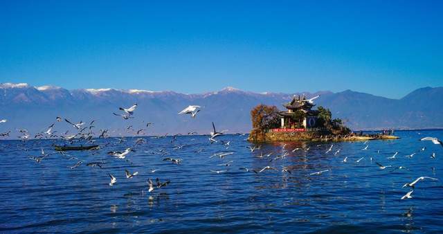 联合国认定的全球绿色城市，中国这15个城市上榜！太骄傲了4