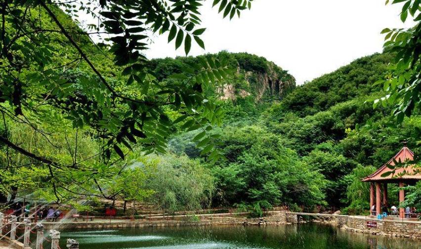 原创 江苏一景区内,藏有千年银杏树王和百年红杏树!门票仅需302