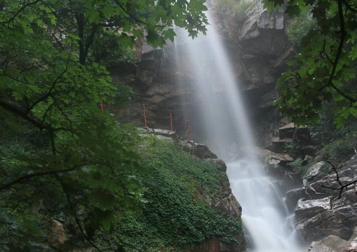 原创 江苏一景区内,藏有千年银杏树王和百年红杏树!门票仅需303