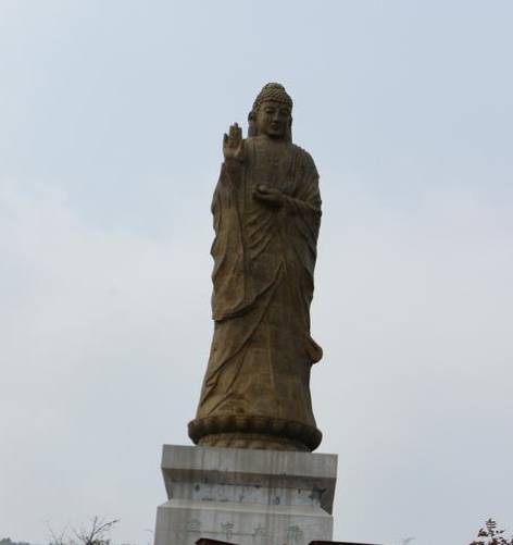 原创 江苏一景区内,藏有千年银杏树王和百年红杏树!门票仅需304