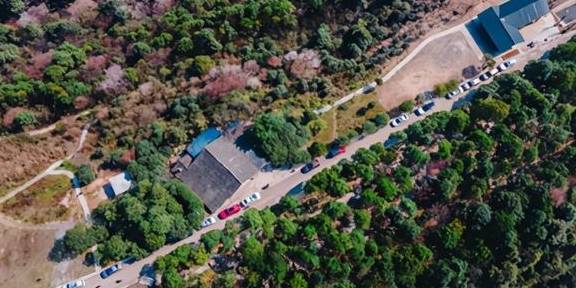 原创 采鲜果、赏樱花、享美食,渝北大盛邀您来打卡4