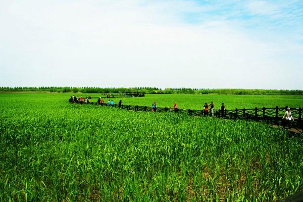 上海周边适合踏青的地方 上海周边踏青好去处3