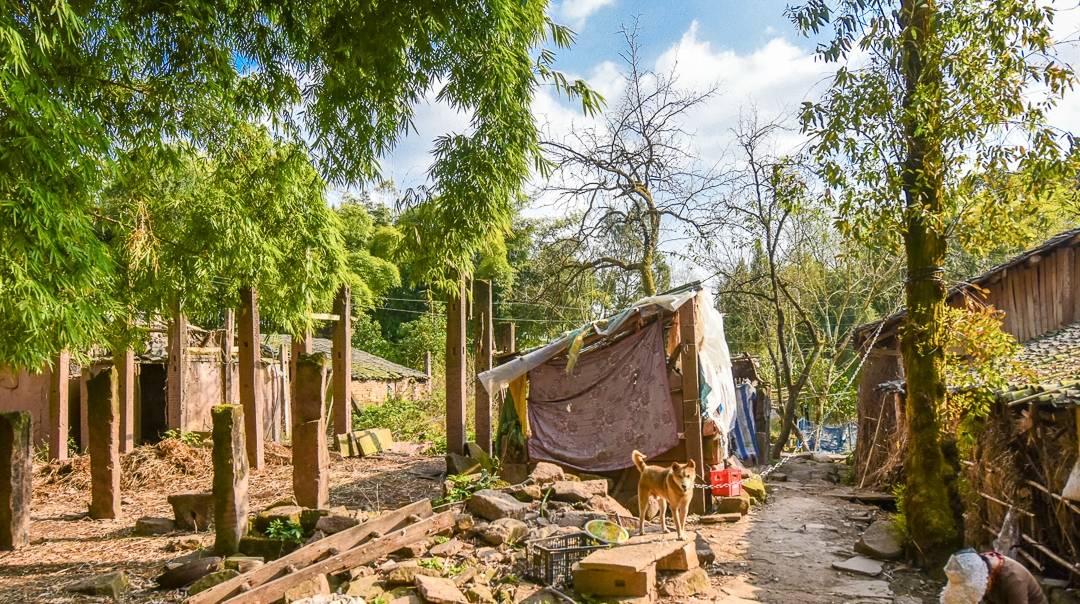 原创 重庆大山中发现一座雄伟的清朝古寨,村民过着与世无争的田原生活7