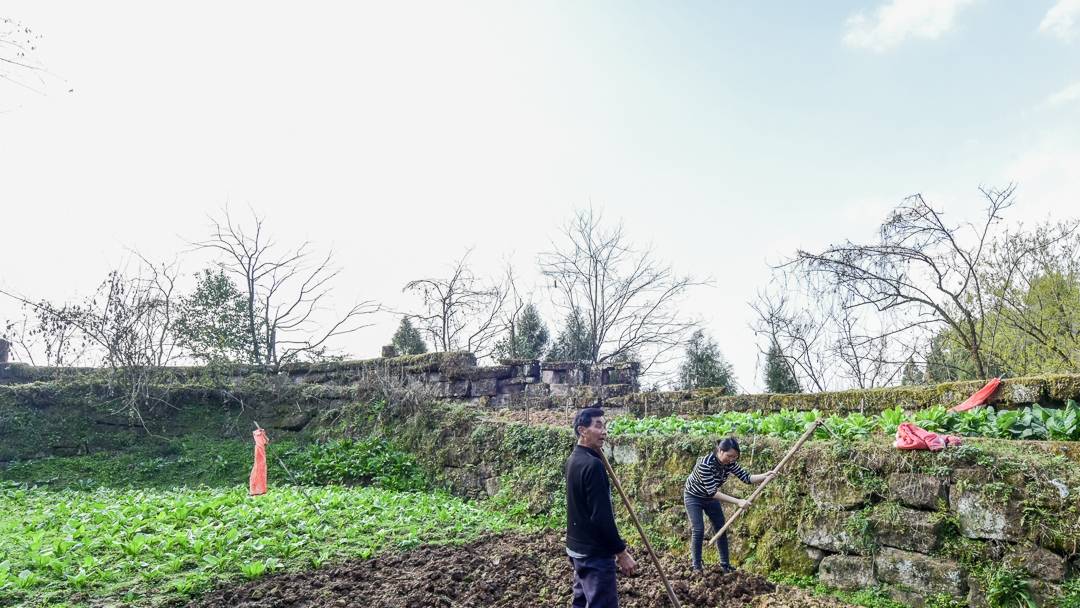 原创 重庆大山中发现一座雄伟的清朝古寨,村民过着与世无争的田原生活9