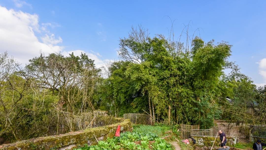 原创 重庆大山中发现一座雄伟的清朝古寨,村民过着与世无争的田原生活11