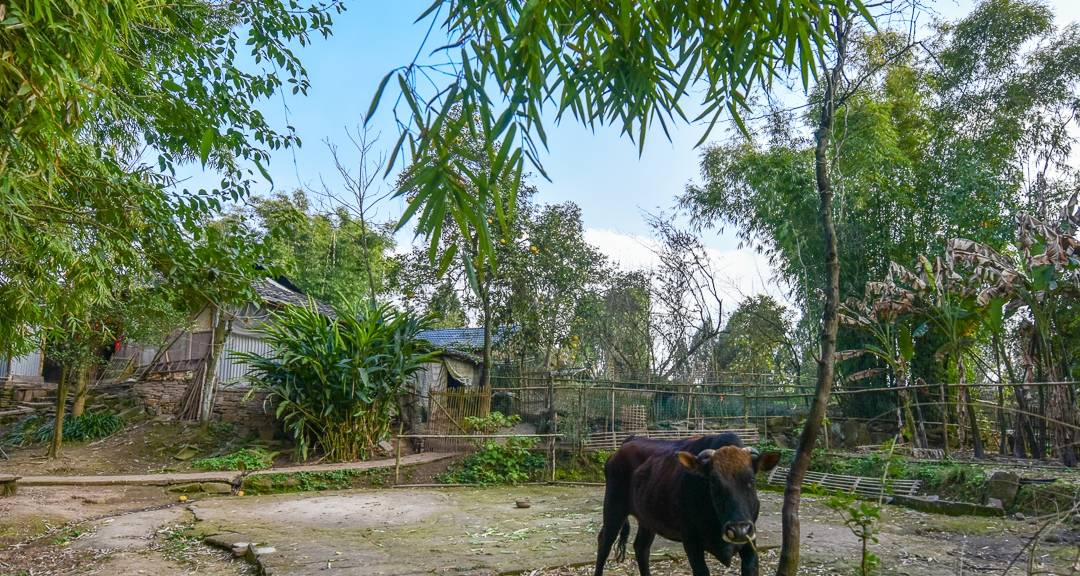 原创 重庆大山中发现一座雄伟的清朝古寨,村民过着与世无争的田原生活12