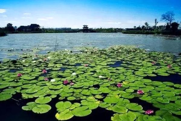 长沙去哪里骑行比较好 长沙适合骑行的路线推荐1