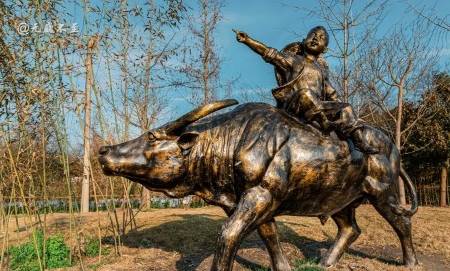 原创 成都当下最火爆的赏花地——青城大观镇，解语问花村1