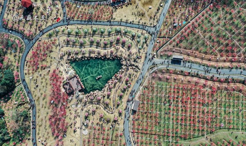 原创 成都当下最火爆的赏花地——青城大观镇，解语问花村3