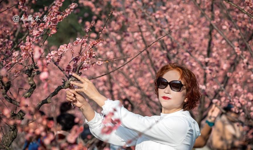 原创 成都当下最火爆的赏花地——青城大观镇，解语问花村6