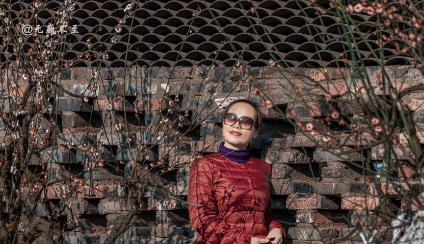 原创 成都当下最火爆的赏花地——青城大观镇，解语问花村10