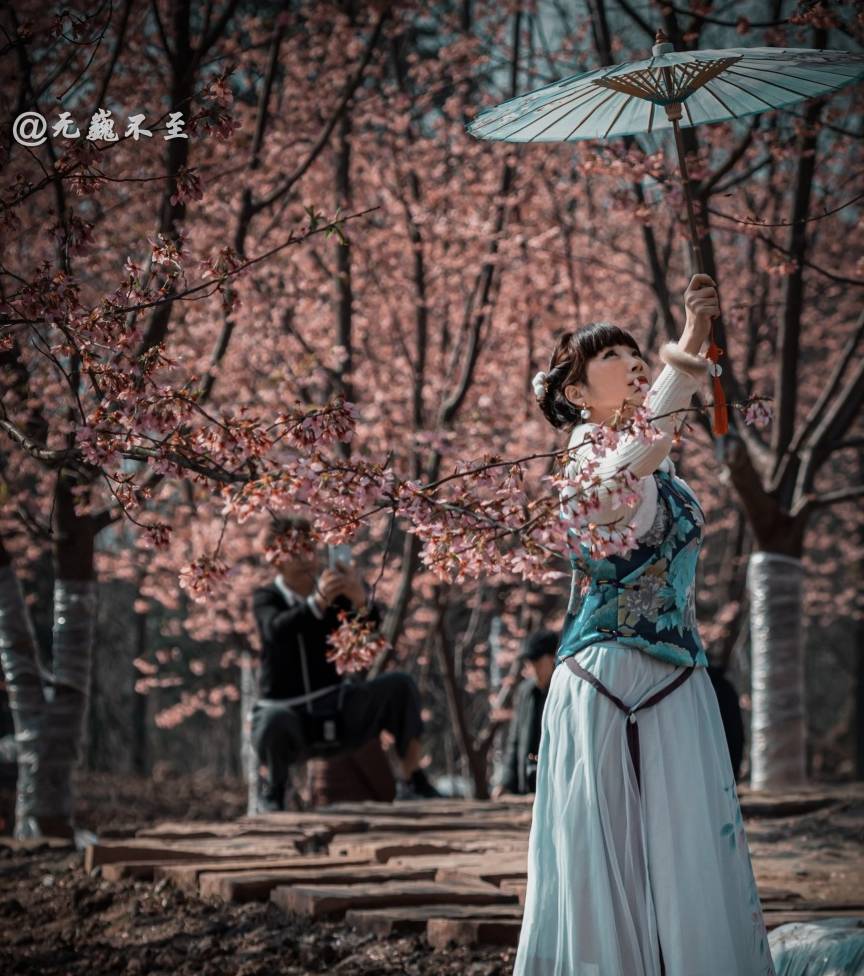 原创 成都当下最火爆的赏花地——青城大观镇，解语问花村14