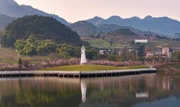 原创 10000亩！重庆北碚藏了一个看腊梅的好地方！被惊艳到了14