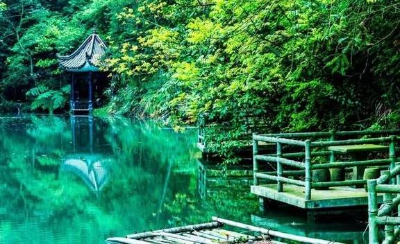 原创 10000亩！重庆北碚藏了一个看腊梅的好地方！被惊艳到了15