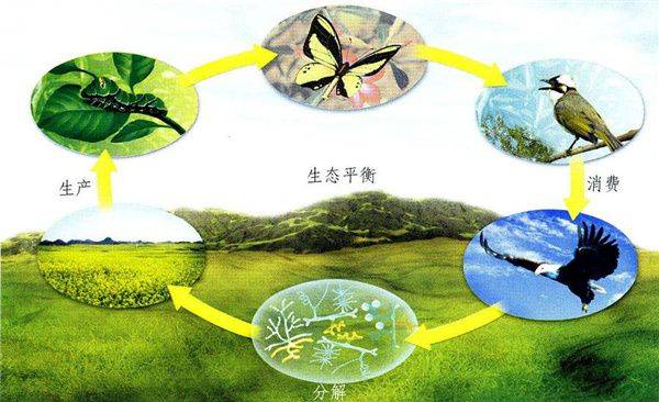 原创 如果地球大气当中的氧气含量突然暴增,地球会变成什么样子?6