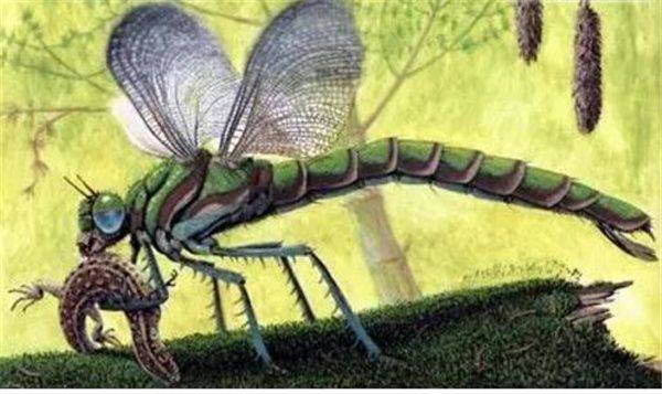 原创 如果地球大气当中的氧气含量突然暴增,地球会变成什么样子?9