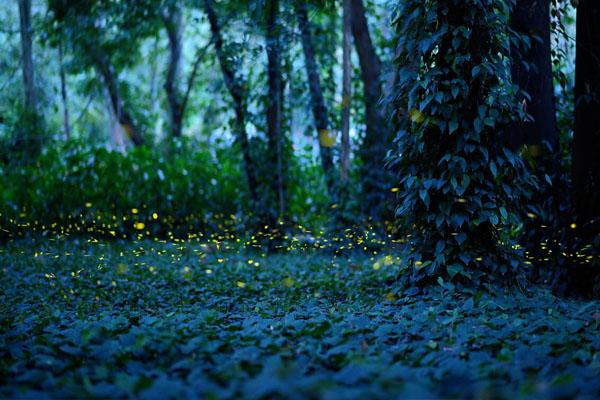 佛山周边自驾游推荐2