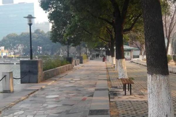 2022武汉春游最佳去处推荐2