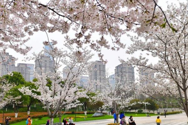 2022武汉春游最佳去处推荐3