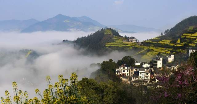 黄花三月踏徽州,半阴半雨伴神游2