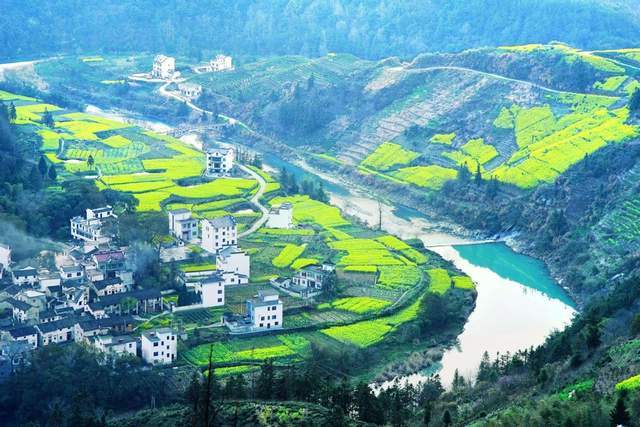 黄花三月踏徽州,半阴半雨伴神游5