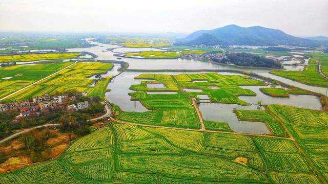 黄花三月踏徽州,半阴半雨伴神游6