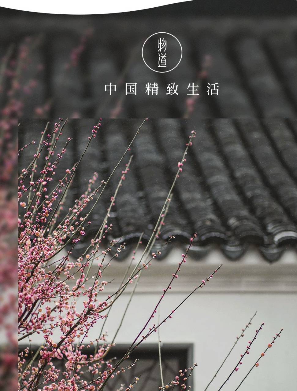 原创 由南往北,春已在路上1