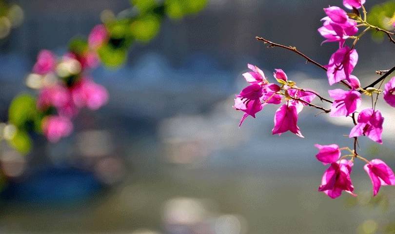 原创 由南往北,春已在路上5