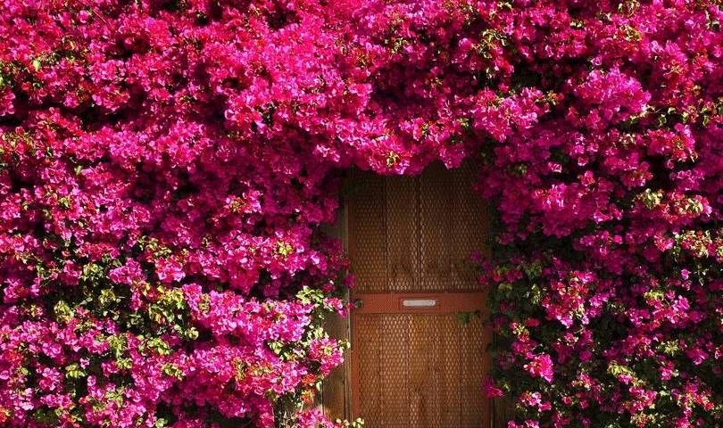 原创 由南往北,春已在路上6