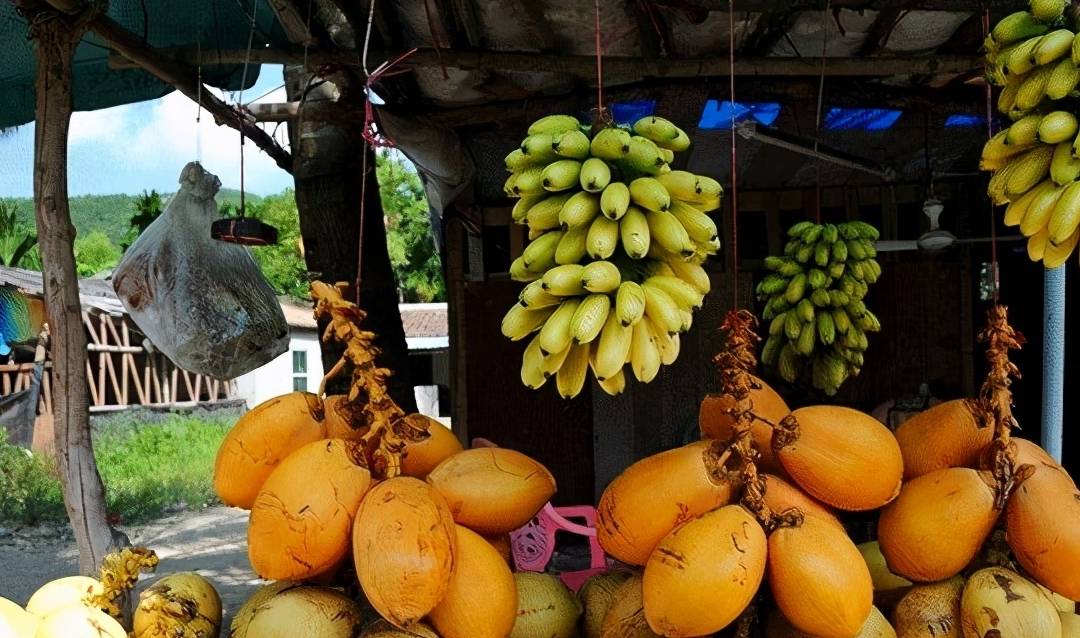 原创 由南往北,春已在路上7