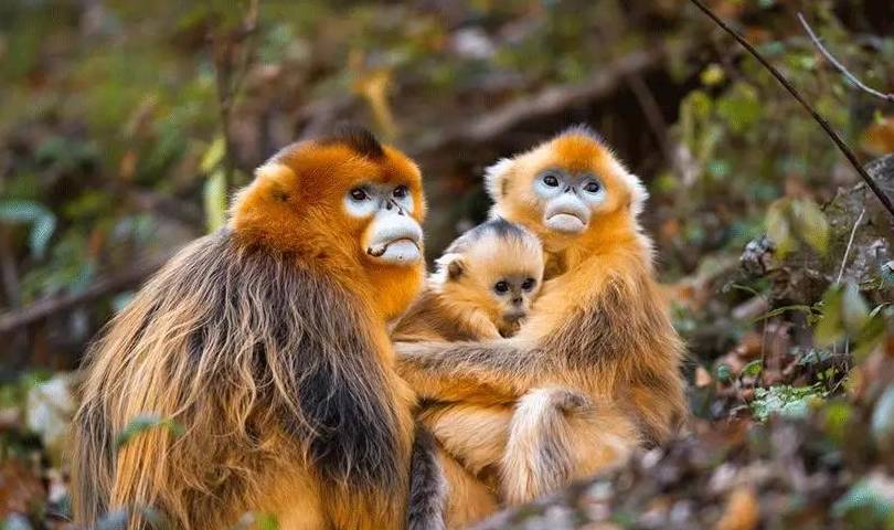 原创 由南往北,春已在路上11