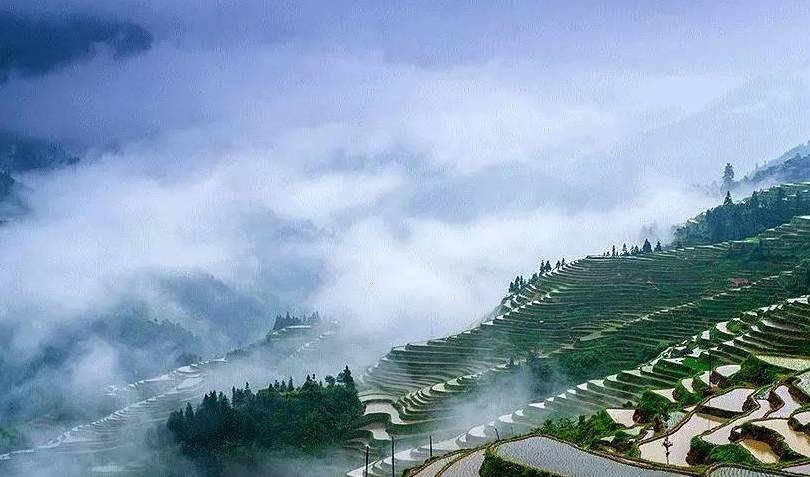 原创 由南往北,春已在路上10