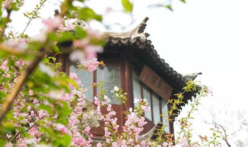 原创 由南往北,春已在路上14