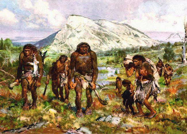 原创 为什么动物能直接喝“自然水”,而人类喝水却需要过滤?3