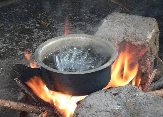 原创 为什么动物能直接喝“自然水”,而人类喝水却需要过滤?4