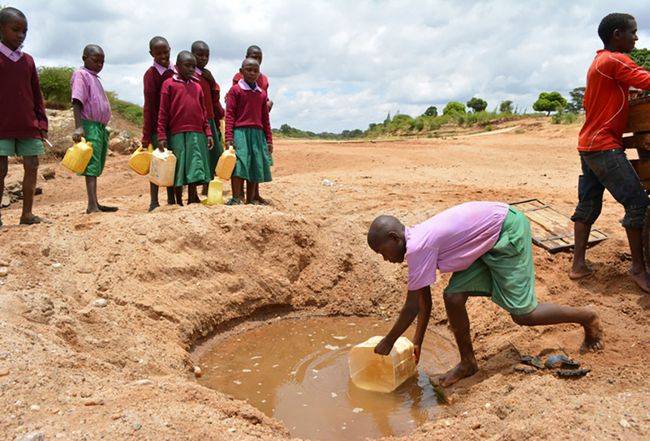 原创 为什么动物能直接喝“自然水”,而人类喝水却需要过滤?7