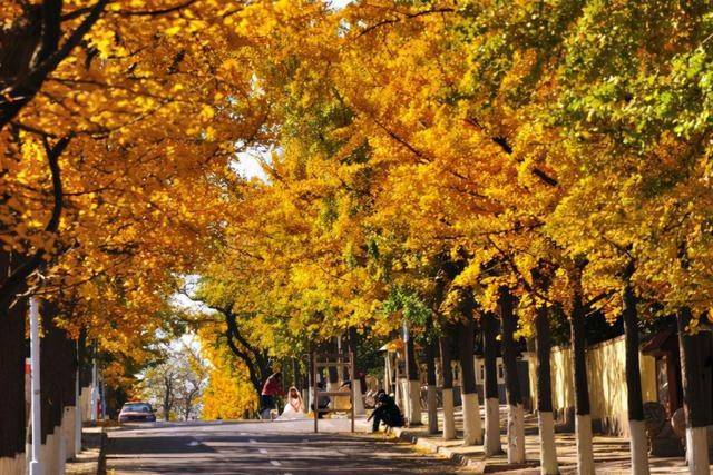 原创 合青高铁(山东段)形成，沿途的临沂有福了~经济将有新发展！3