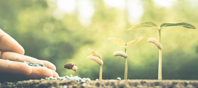 人生七问,看完回答后豁然开朗(深度好文)1