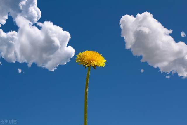 人生七问,看完回答后豁然开朗(深度好文)2