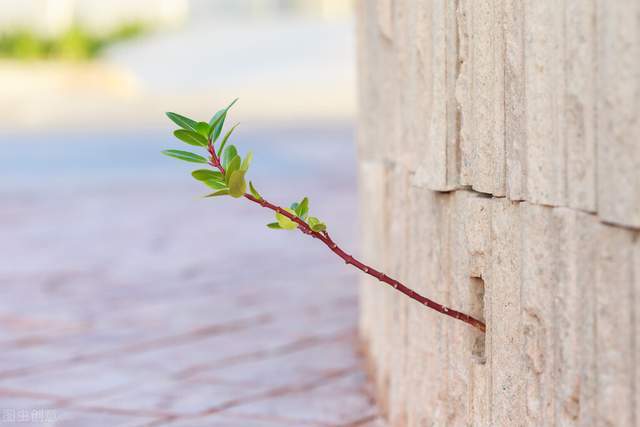 人生七问,看完回答后豁然开朗(深度好文)3