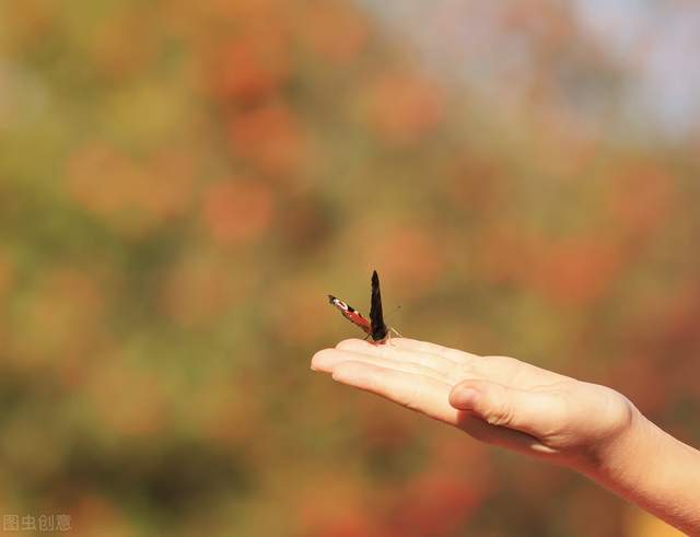 人生七问,看完回答后豁然开朗(深度好文)5