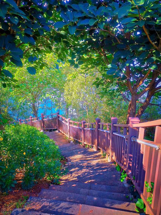 人生七问,看完回答后豁然开朗(深度好文)7