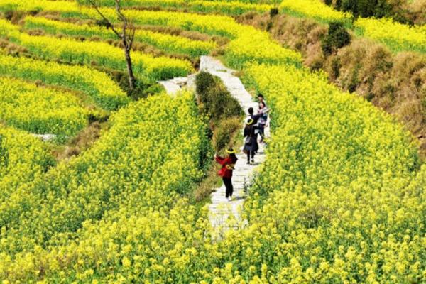 婺源自驾两日游攻略2