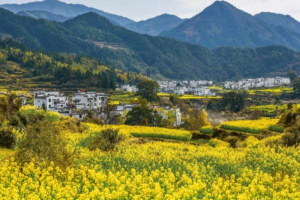 婺源自驾两日游攻略3