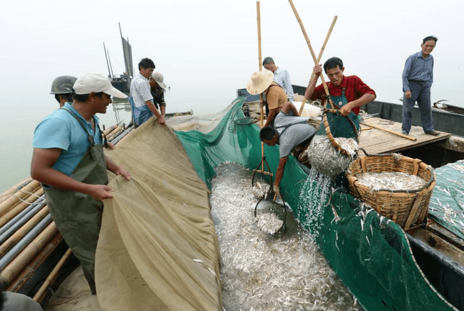 原创 南极磷虾:10亿吨“海上金矿”,各国争先捕捞,中国为何成黑马?6